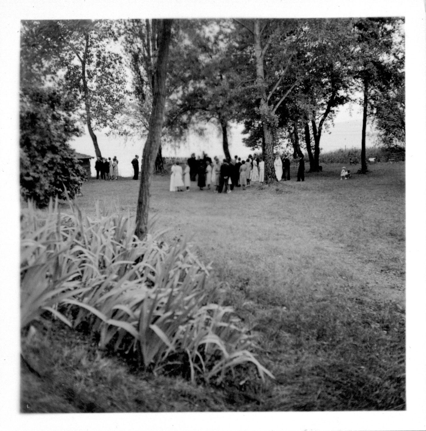 La noce au bord du lac